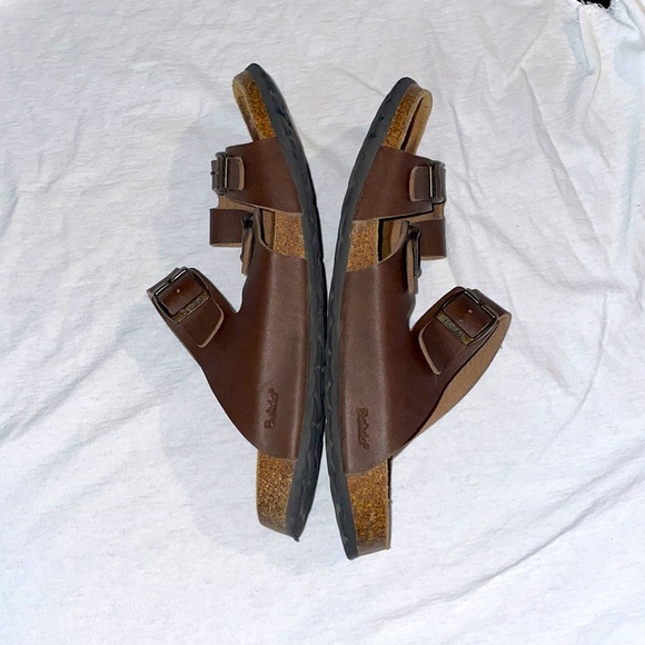 Betula - Picture 3 of 6